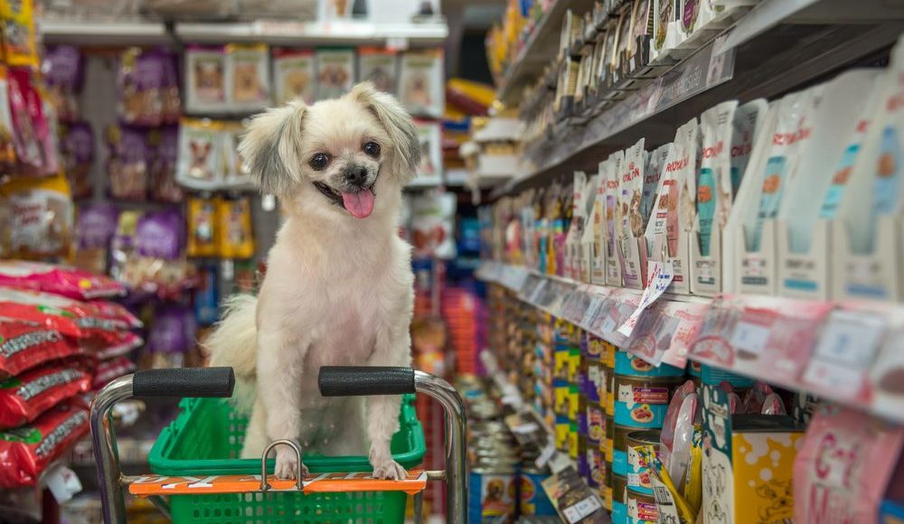 Pet Shop